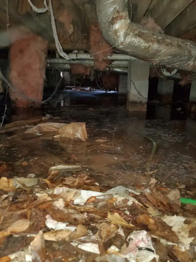 Crawl space flood assessment for Commercial Water Damage Restoration in Camino Tassajara